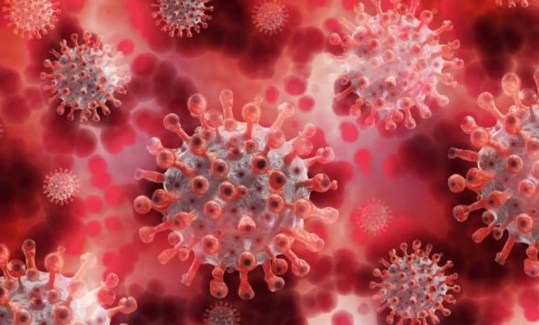 Chhattisgarh Corona Cases